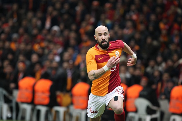 相比成熟期 相比成熟期