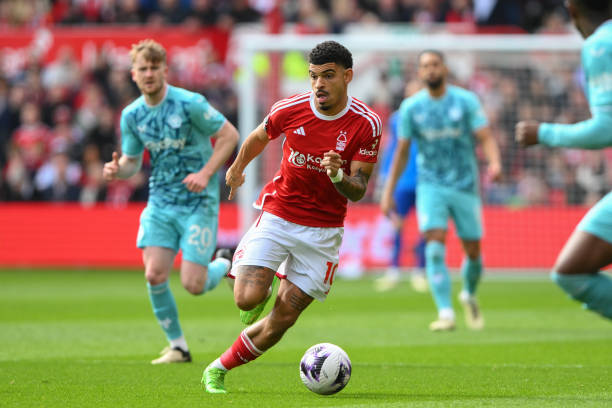 倾向通过租 倾向通过租