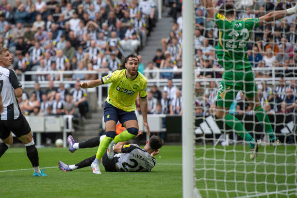 迅速成长为 迅速成长为